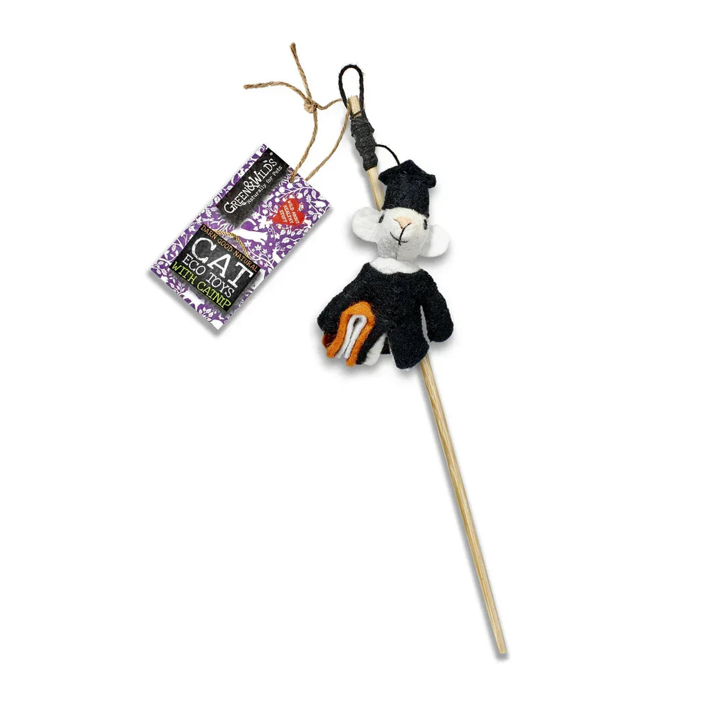 Archibald Mouse Teaser Eco Cat Toy with Catnip